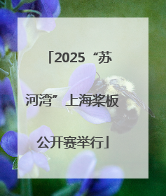 2025“苏河湾”上海桨板公开赛举行