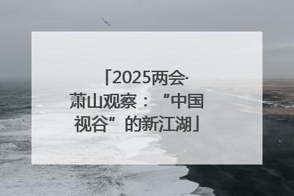 2025两会·萧山观察：“中国视谷”的新江湖