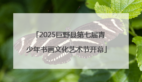 2025巨野县第七届青少年书画文化艺术节开幕
