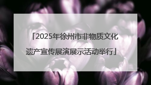 2025年徐州市非物质文化遗产宣传展演展示活动举行