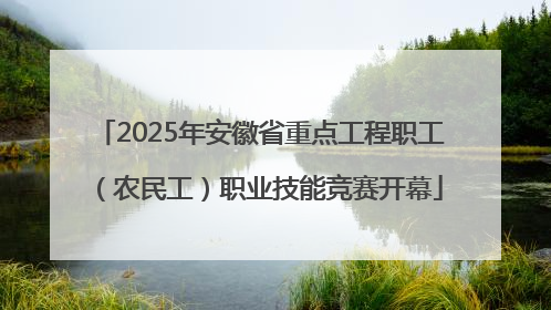 2025年安徽省重点工程职工（农民工）职业技能竞赛开幕