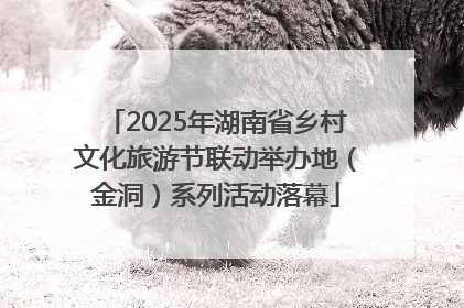 2025年湖南省乡村文化旅游节联动举办地（金洞）系列活动落幕
