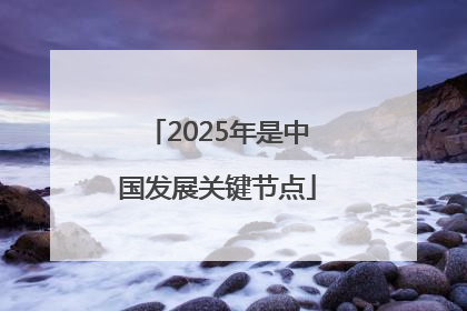 2025年是中国发展关键节点