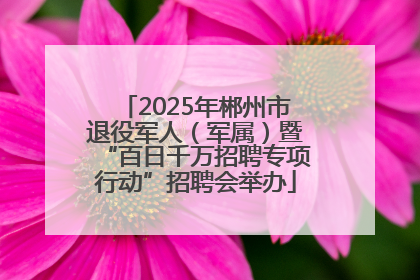 2025年郴州市退役军人（军属）暨“百日千万招聘专项行动”招聘会举办