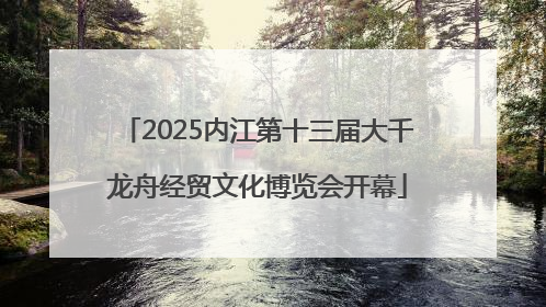 2025内江第十三届大千龙舟经贸文化博览会开幕