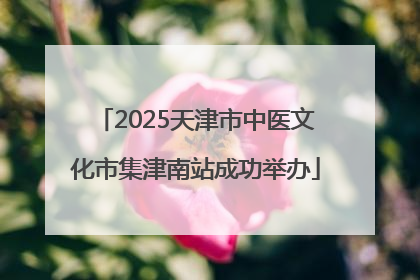 2025天津市中医文化市集津南站成功举办