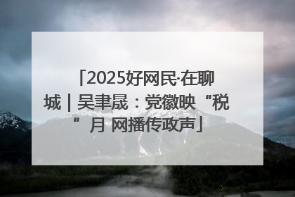 2025好网民·在聊城｜吴聿晟：党徽映“税”月 网播传政声