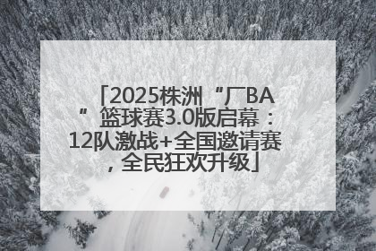 2025株洲“厂BA”篮球赛3.0版启幕：12队激战+全国邀请赛，全民狂欢升级