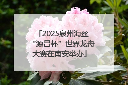 2025泉州海丝“源昌杯”世界龙舟大赛在南安举办
