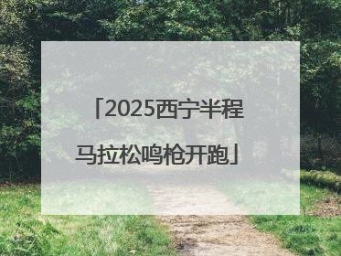 2025西宁半程马拉松鸣枪开跑