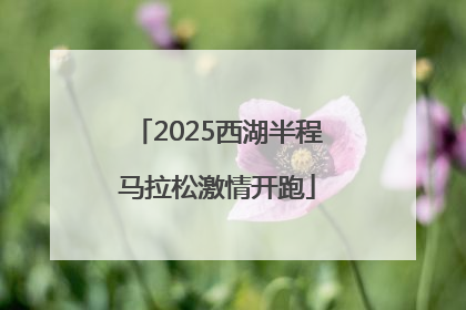 2025西湖半程马拉松激情开跑