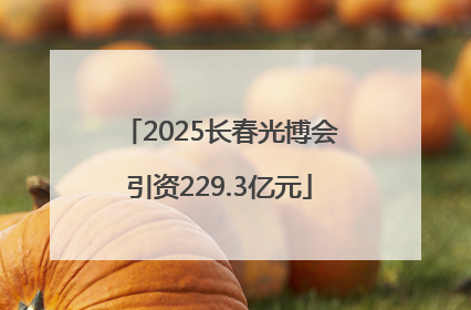 2025长春光博会引资229.3亿元