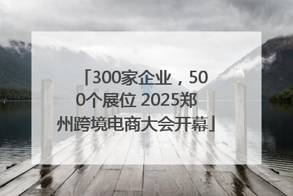 300家企业，500个展位 2025郑州跨境电商大会开幕