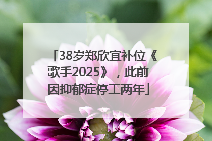 38岁郑欣宜补位《歌手2025》，此前因抑郁症停工两年