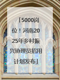 5000岗位！河南2025年乡村振兴协理员招用计划发布