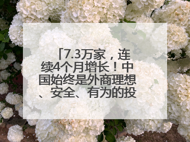 7.3万家，连续4个月增长！中国始终是外商理想、安全、有为的投资目的地