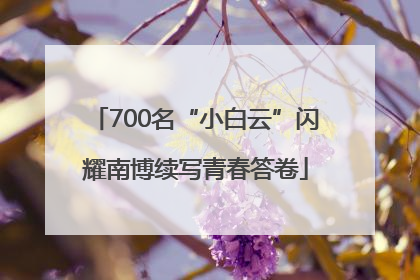 700名“小白云”闪耀南博续写青春答卷