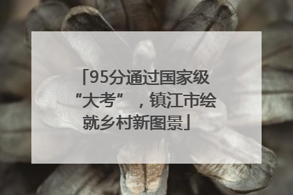 95分通过国家级“大考”，镇江市绘就乡村新图景