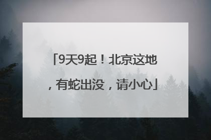 9天9起！北京这地，有蛇出没，请小心