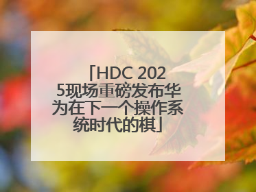 HDC 2025现场重磅发布华为在下一个操作系统时代的棋