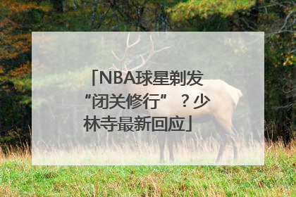 NBA球星剃发“闭关修行”？少林寺最新回应