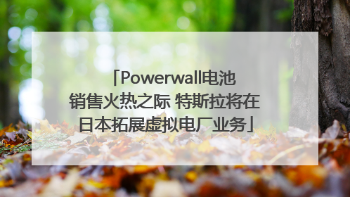 Powerwall电池销售火热之际 特斯拉将在日本拓展虚拟电厂业务