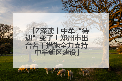 Z深读丨中牟“待遇”变了！郑州市出台若干措施全力支持中牟新区建设